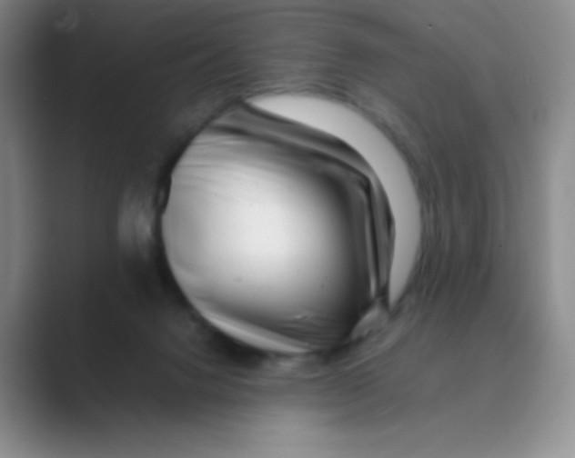 X0000088700072200706282031