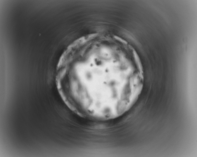 X0000088700073200706282031