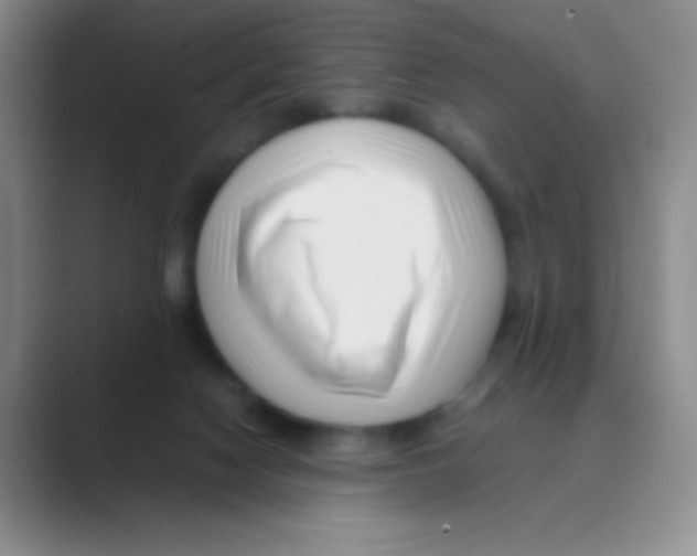 X0000088700074200706282031