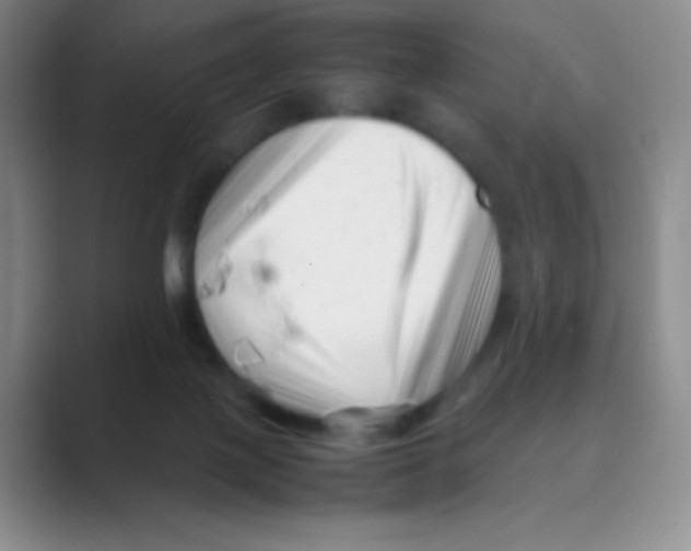 X0000088700075200706282031