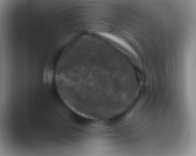 X0000088700076200706282031