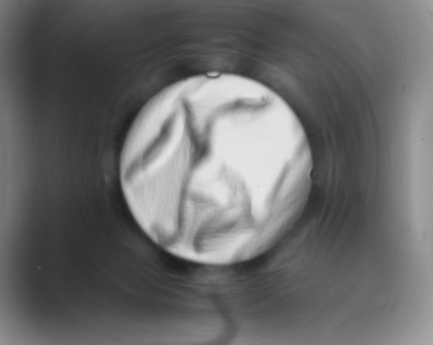 X0000088700077200706282031