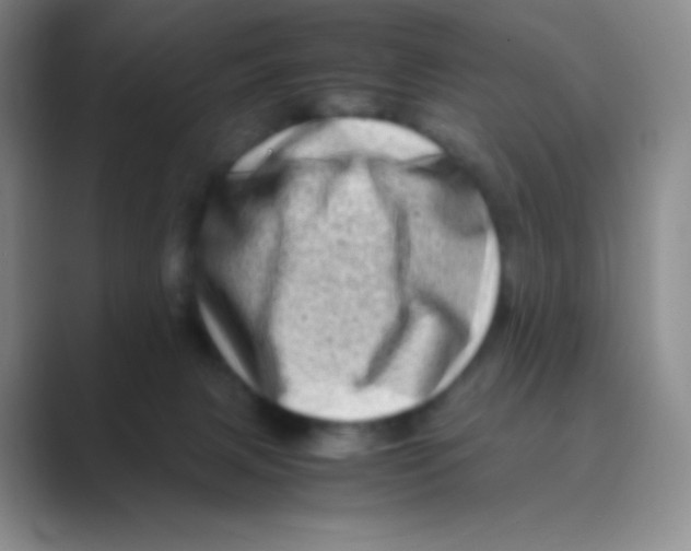 X0000088700079200706282031