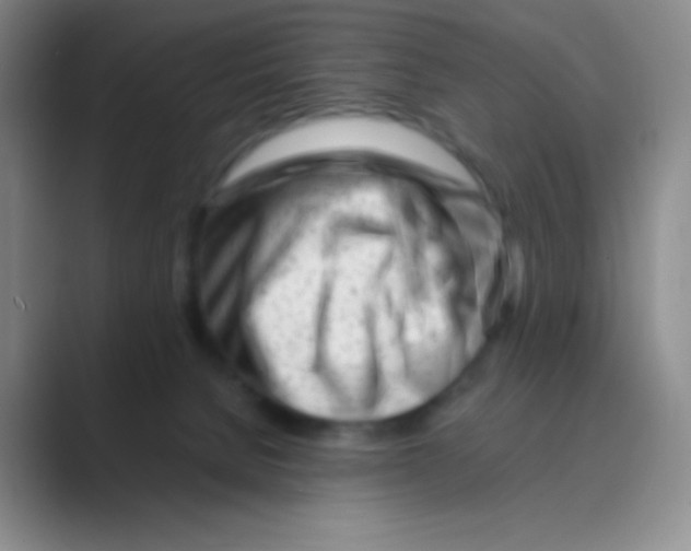 X0000088700080200706282031