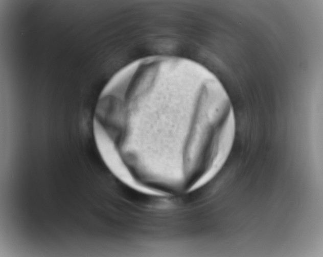 X0000088700083200706282031