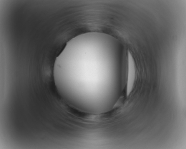 X0000088700084200706282031