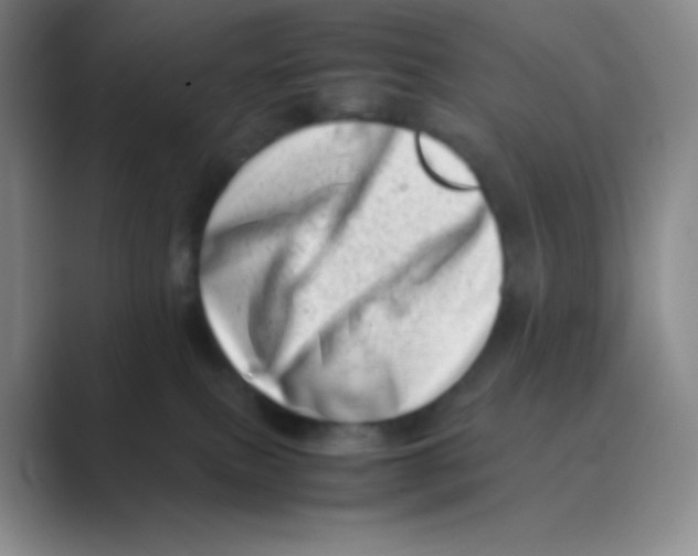 X0000088700087200706282032