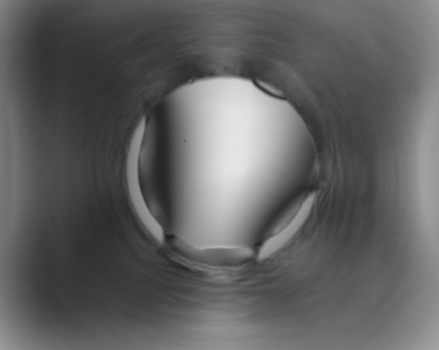 X0000088700088200706282032