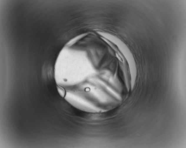 X0000088700089200706282032