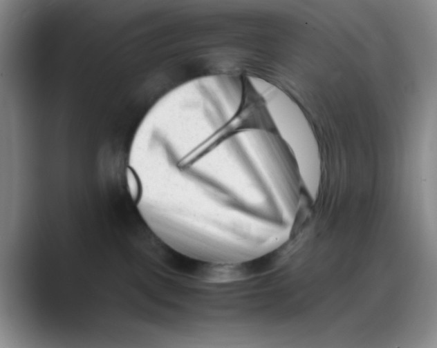 X0000088700093200706282032