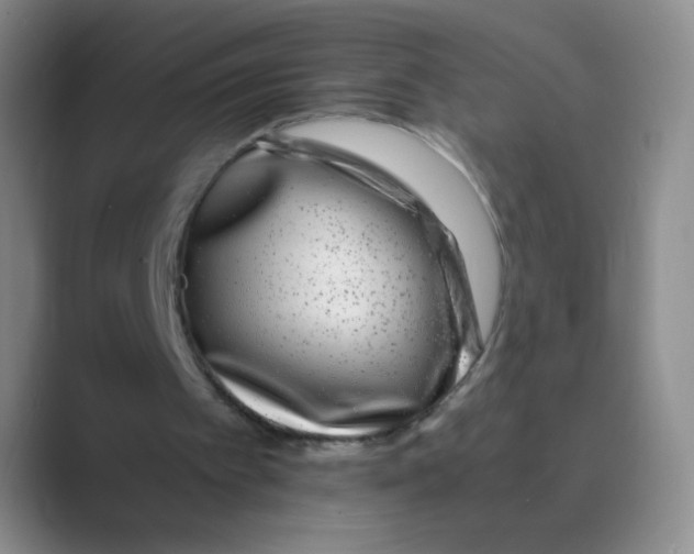 X0000088700097200706282031