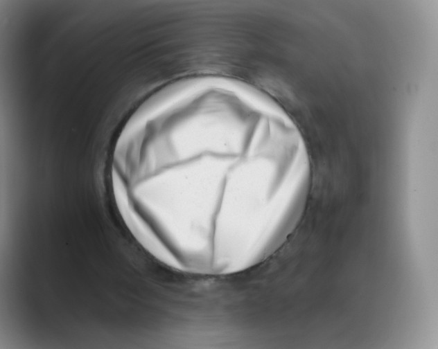 X0000088700098200706282031