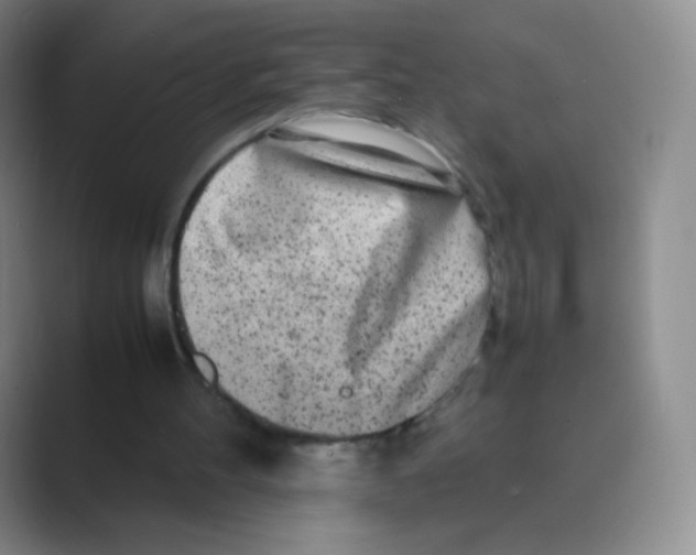 X0000088700100200706282031