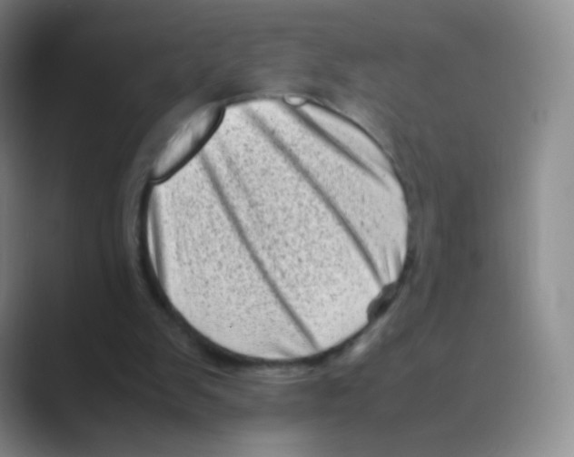 X0000088700103200706282031