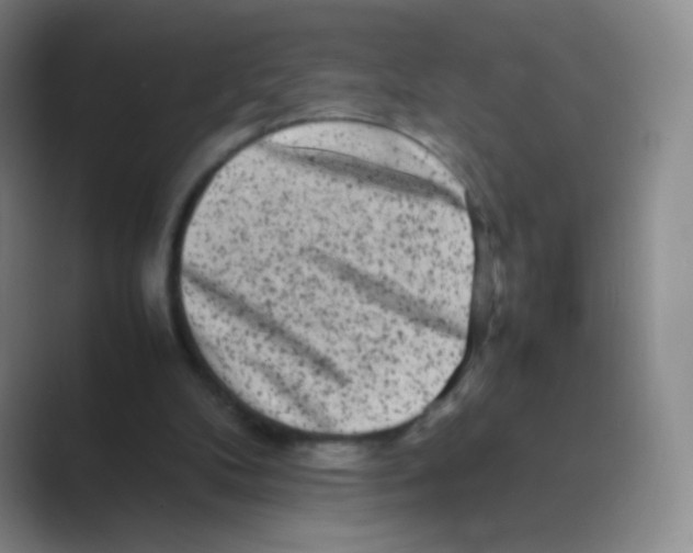 X0000088700104200706282031