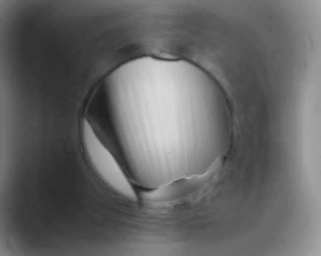 X0000088700105200706282031