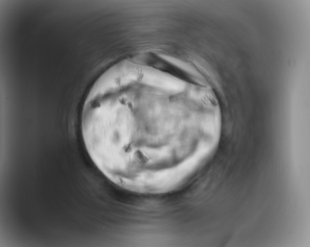 X0000088700107200706282031