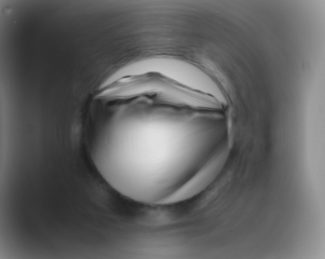 X0000088700113200706282031