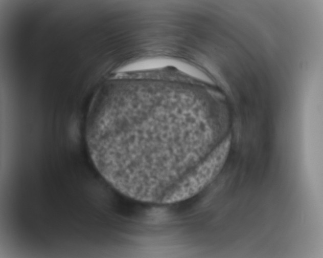 X0000088700114200706282031