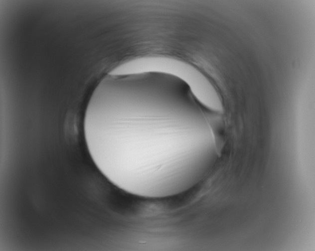 X0000088700115200706282031