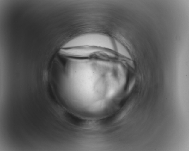 X0000088700117200706282031