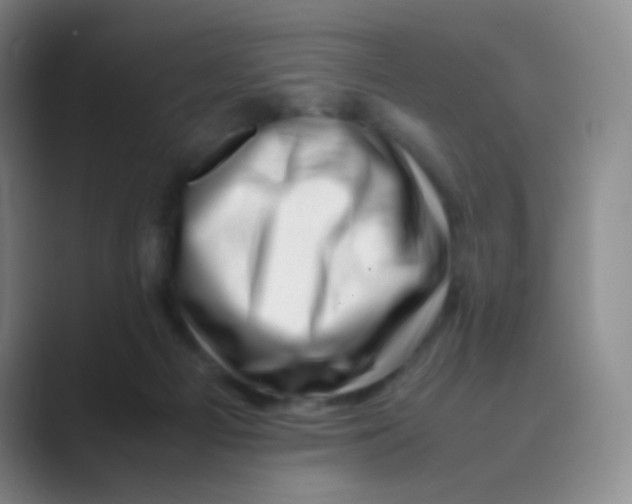 X0000088700121200706282031