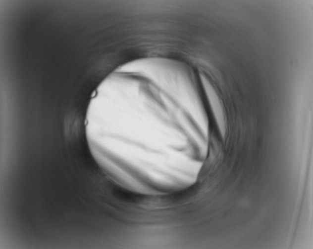 X0000088700123200706282031