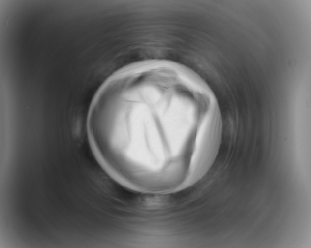 X0000088700134200706282031