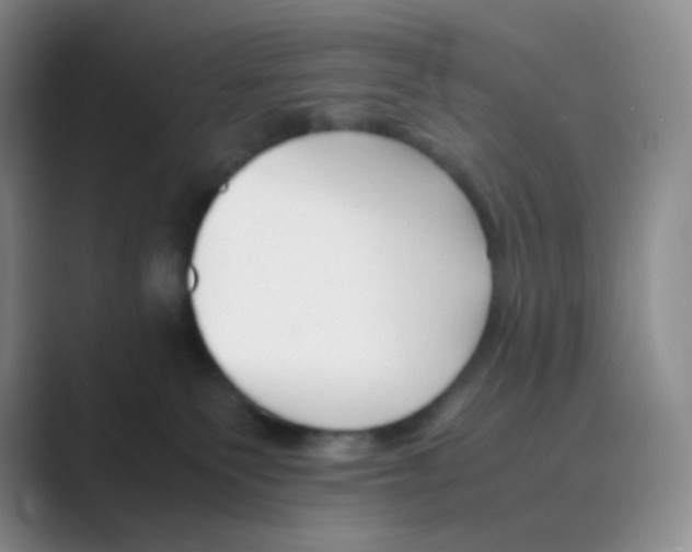 X0000088700135200706282031