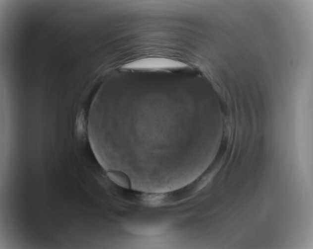 X0000088700143200706282030