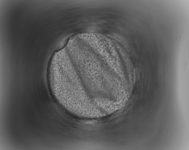 X0000088700147200706282030