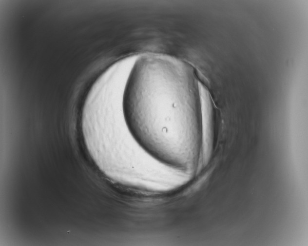 X0000088700149200706282030