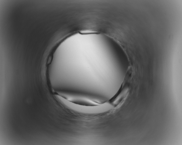 X0000088700150200706282030