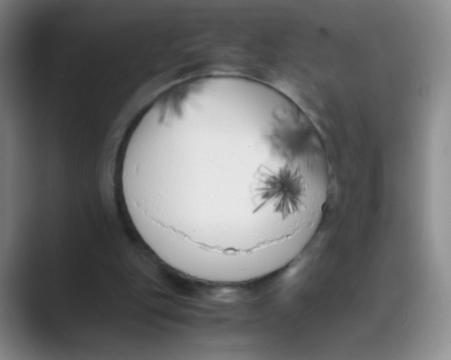 X0000088700151200706282030