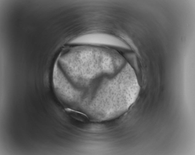 X0000088700154200706282030