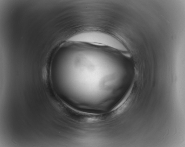 X0000088700158200706282030