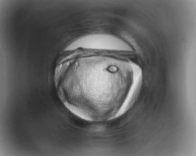 X0000088700161200706282030