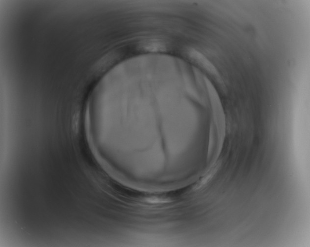 X0000088700163200706282030