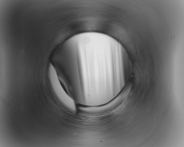 X0000088700164200706282030