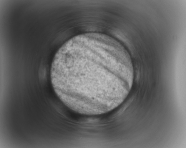 X0000088700165200706282030