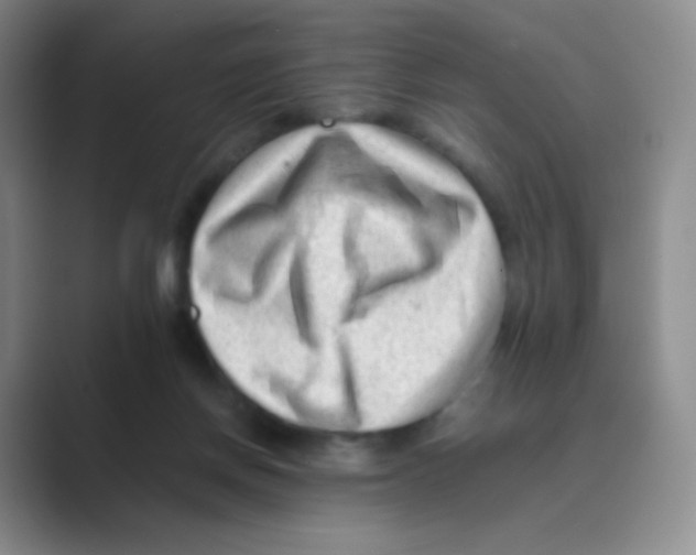 X0000088700166200706282030