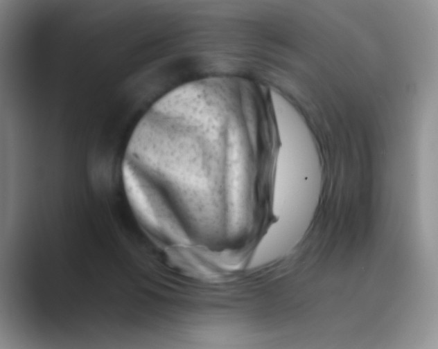 X0000088700168200706282030