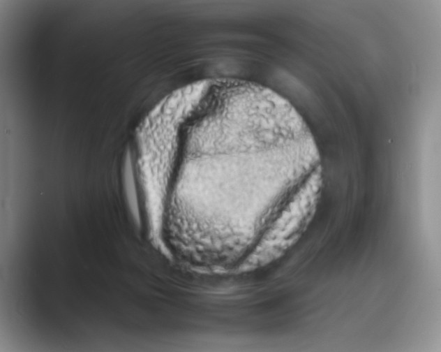 X0000088700169200706282030