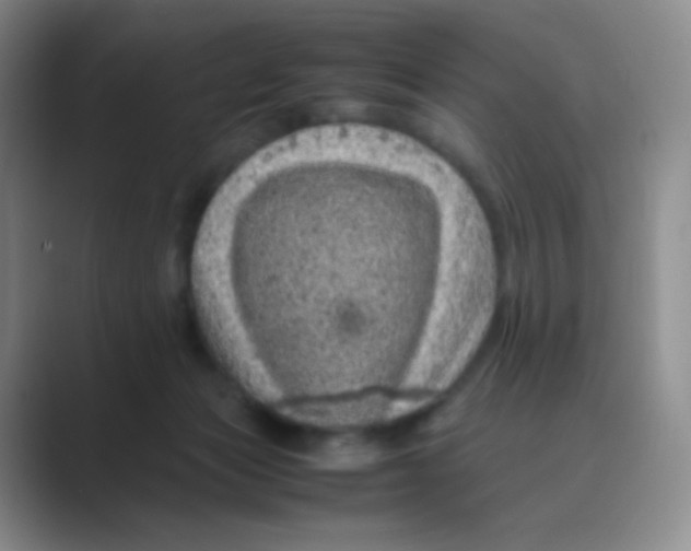 X0000088700173200706282030