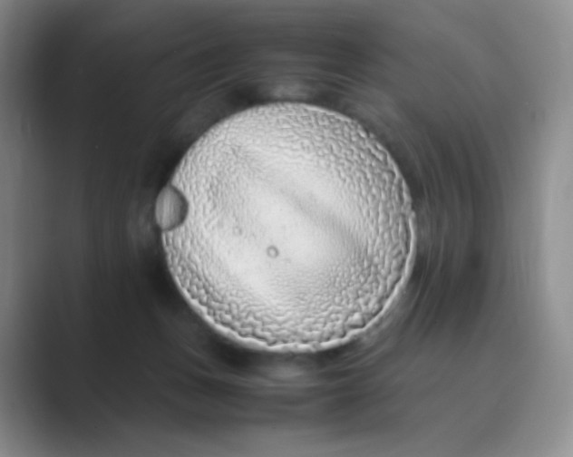 X0000088700175200706282030