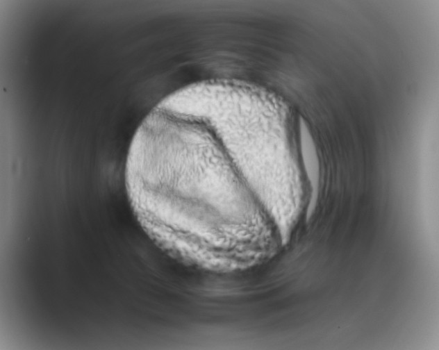 X0000088700177200706282030