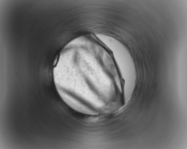 X0000088700180200706282030