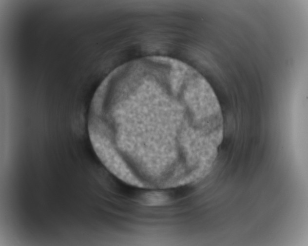 X0000088700183200706282030