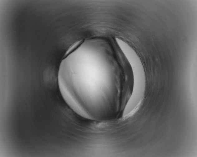 X0000088700186200706282030