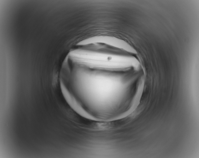 X0000088700188200706282030